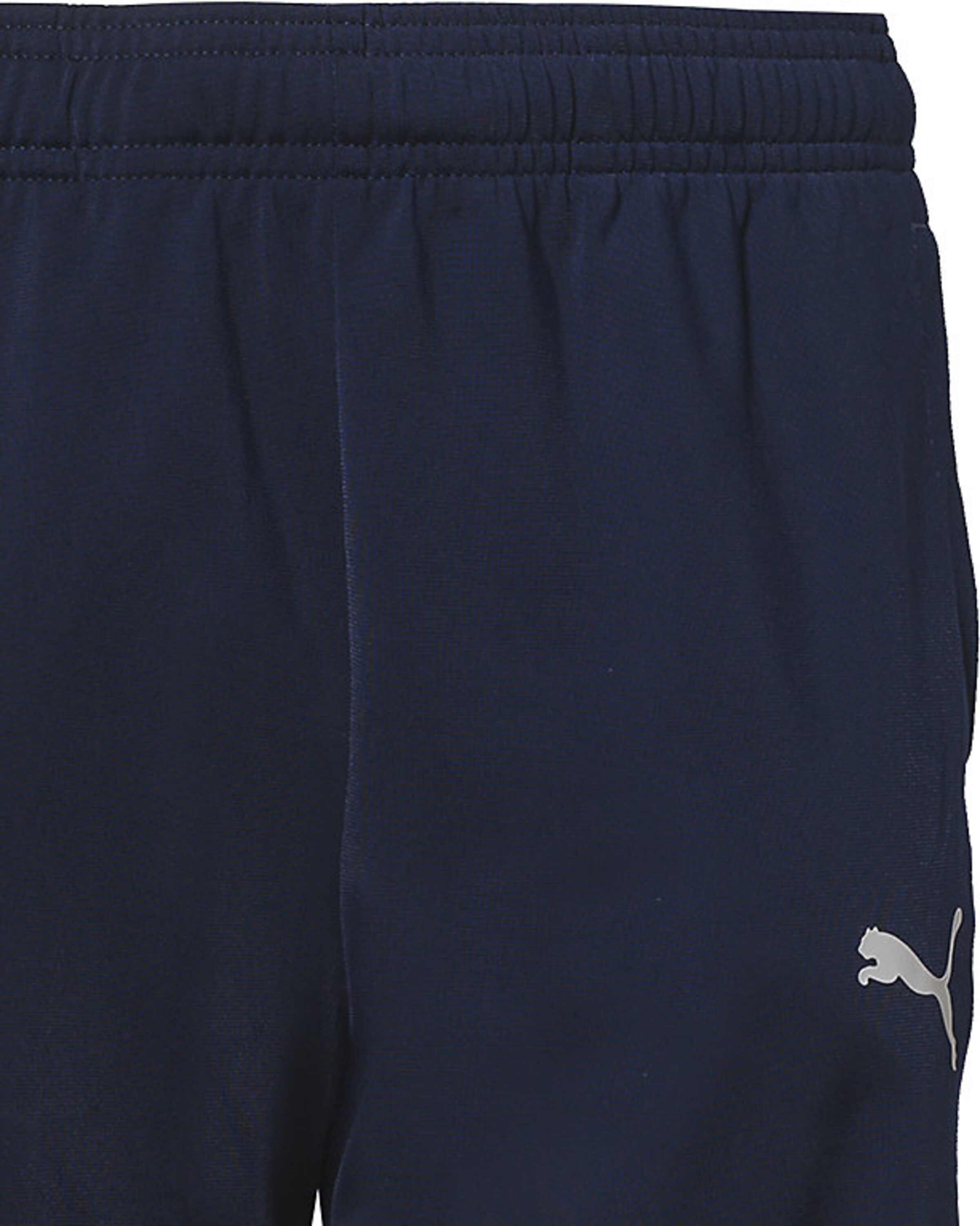 PUMA Tapered Workout Pants 'Liga Sideline Poly' in Blue