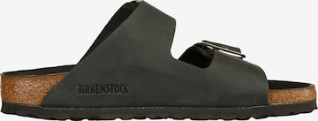 Saboți 'Arizona Big Buckle' de la BIRKENSTOCK pe negru