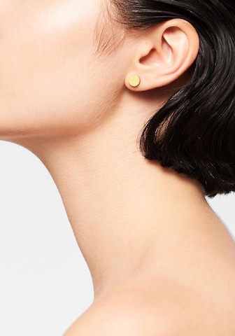 Liebeskind Berlin Earrings in Gold