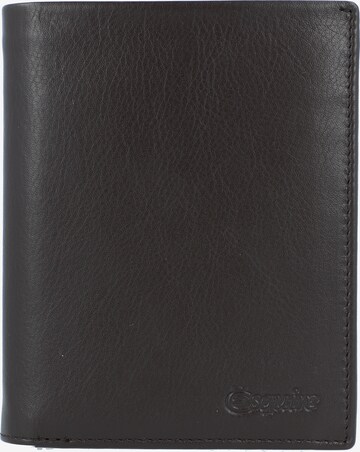 Esquire Wallet 'New Silk' in Brown: front