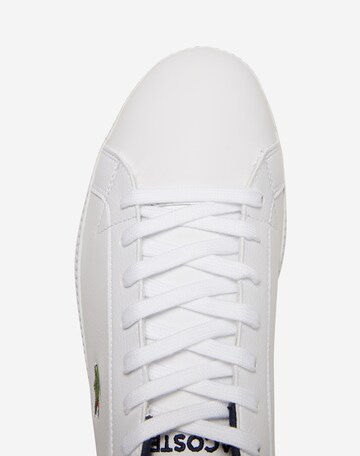 LACOSTE Sneaker 'Graduate LCR3 SPM' in Weiß