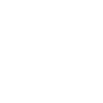 Fanatics Logo