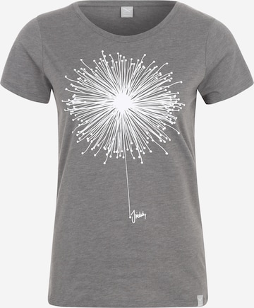 Iriedaily T-Shirt 'Blowball' in Grau: front