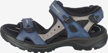 Sandales de randonnée 'Offroad' ECCO en bleu