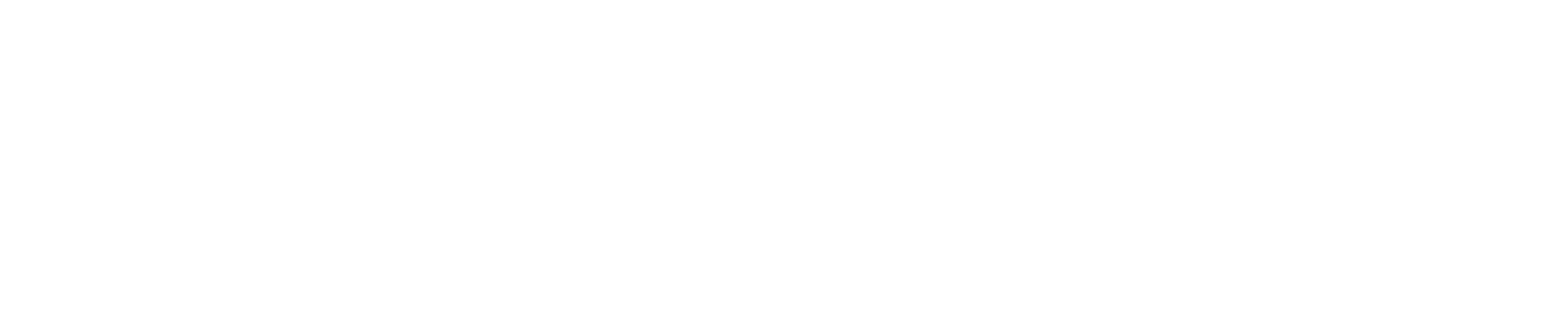 noppies Logo