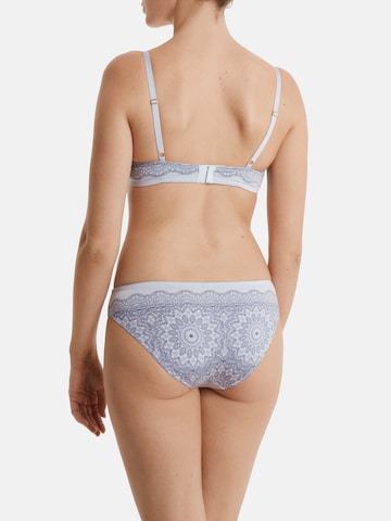 PALMERS Push-up BH 'Crochet Print' in Blau: zadná strana