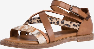 TAMARIS Sandalen met riem in Bruin: voorkant