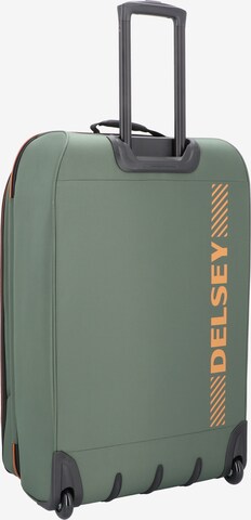 Delsey Paris Travel Bag in Green