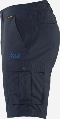 JACK WOLFSKIN Regular Functionele broek 'Canyon' in Blauw