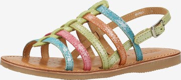GEOX Sandals in Mixed colors: front