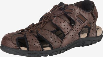 GEOX Wandelsandalen 'S. Strada' in Bruin: voorkant