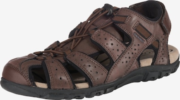 GEOX Hiking Sandals 'S. Strada' in Brown: front