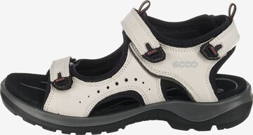ECCO Hiking Sandals 'Offroad' in White
