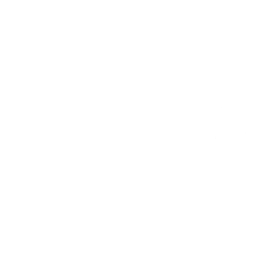 Mr. Little Fox Logo