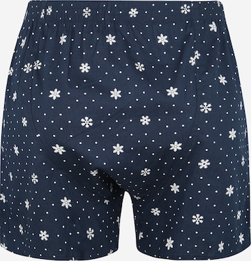 D.E.A.L International Boxershort 'Print' in Blau: zadná strana