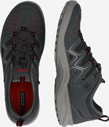 ECCO Athletic Lace-Up Shoes 'Terracruise' in Grey