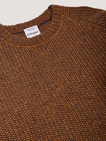 Cleptomanicx Sweater in Brown