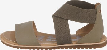 SOREL Sandalen met riem 'Ella' in Grijs