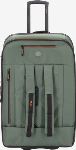 Delsey Paris Travel Bag in Green