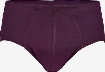 Jan Vanderstorm Panty ' Erblin ' in Mixed colors