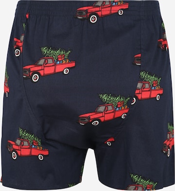 D.E.A.L International Boxershorts 'X-Mas Pickup' in Blauw: terug