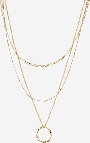 Orelia Kette 'OPEN CIRCLE' in Gold: predná strana