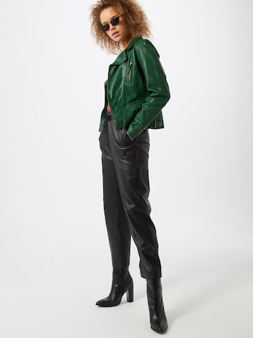 OAKWOOD Prehodna jakna | zelena barva