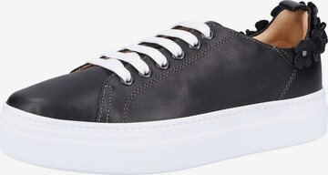 Darkwood Sneaker in Black: front