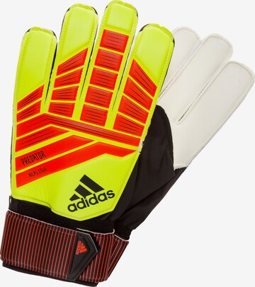 Gants de sport 'Predator Replique' ADIDAS SPORTSWEAR en jaune : devant