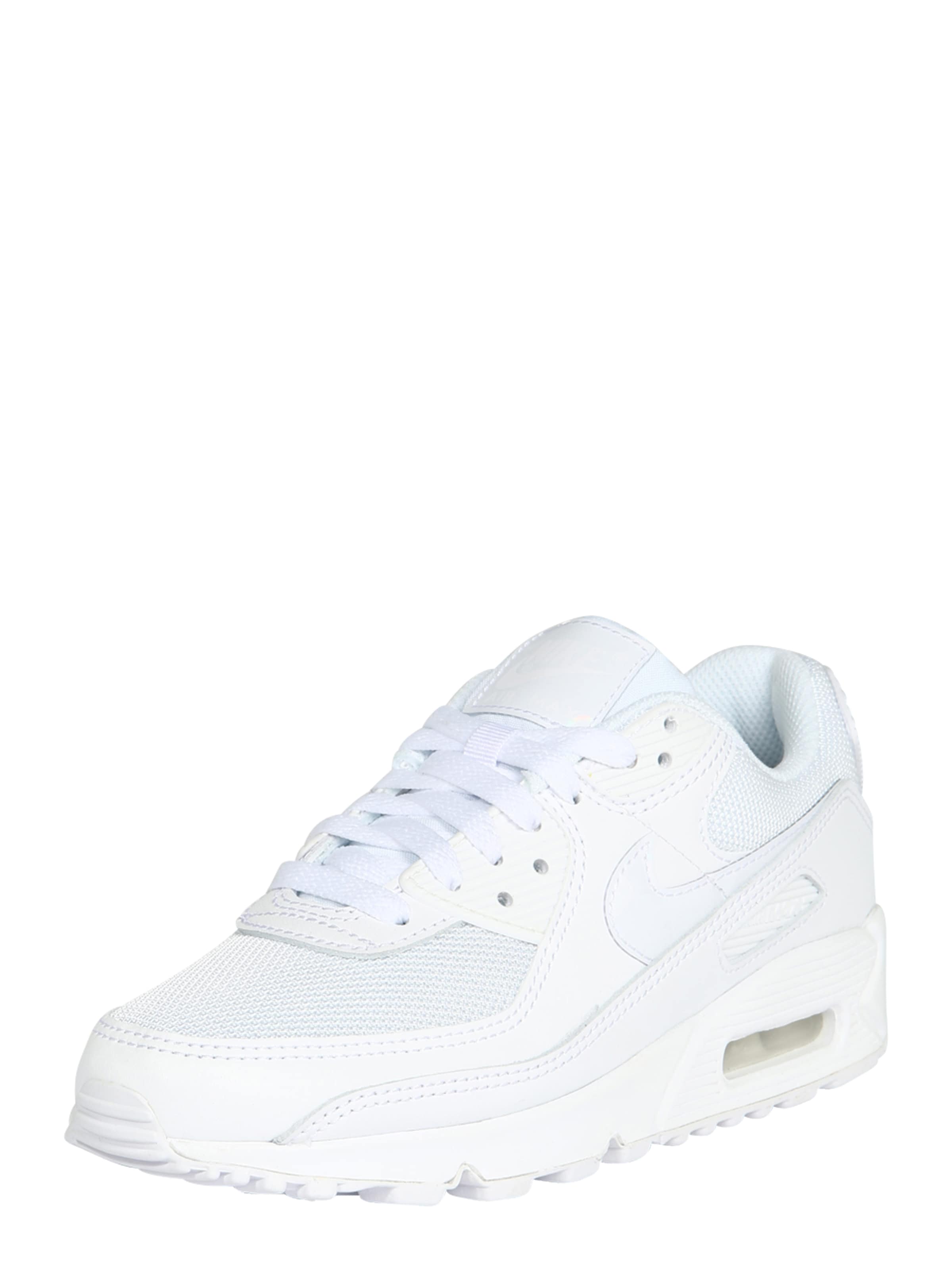 witte airmax