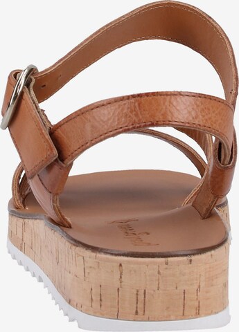 Paul Green Sandalen met riem in Bruin