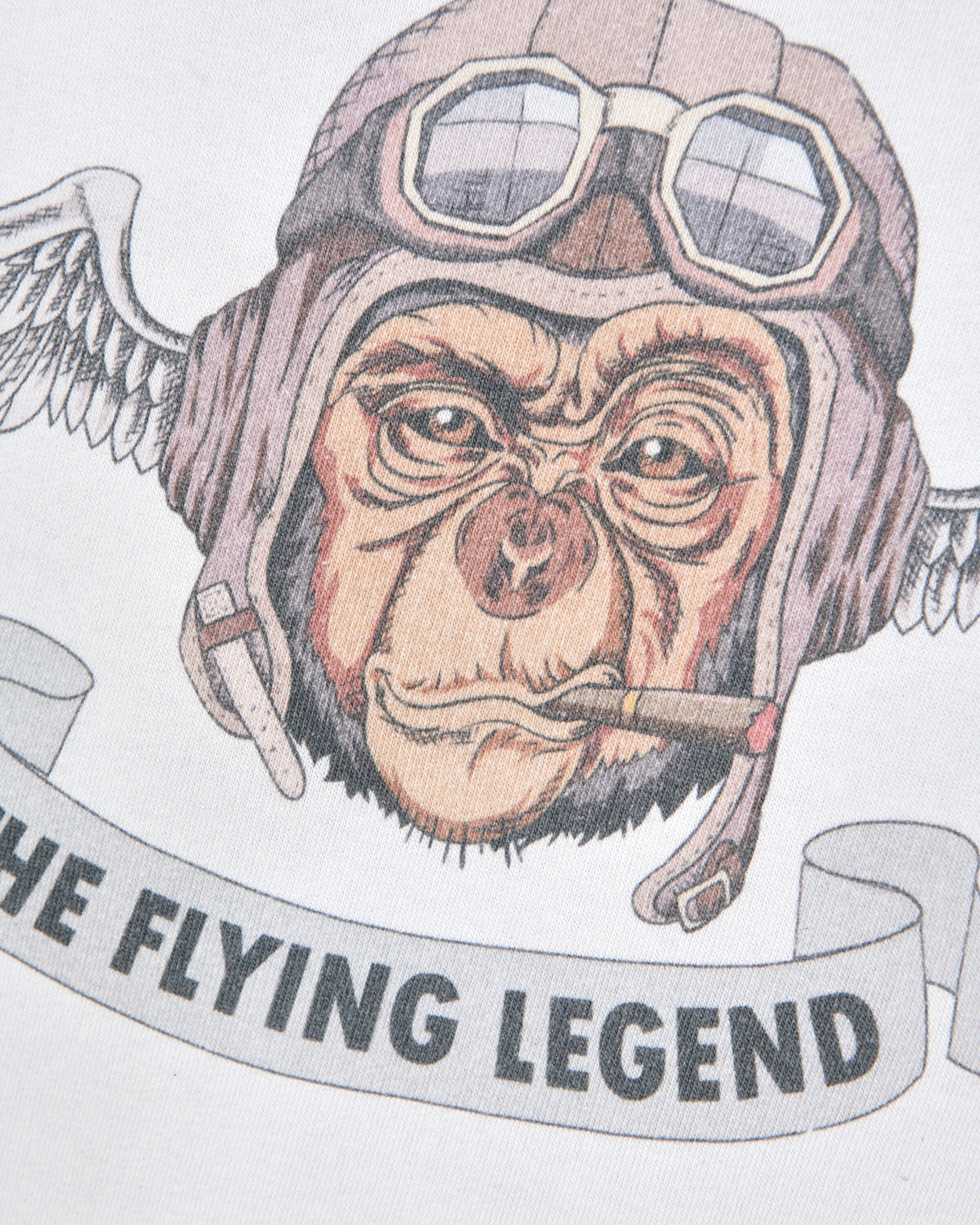 TOP GUN Sweatshirt 'Smoking Monkey' in Grey