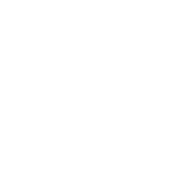 4PRESIDENT Logo