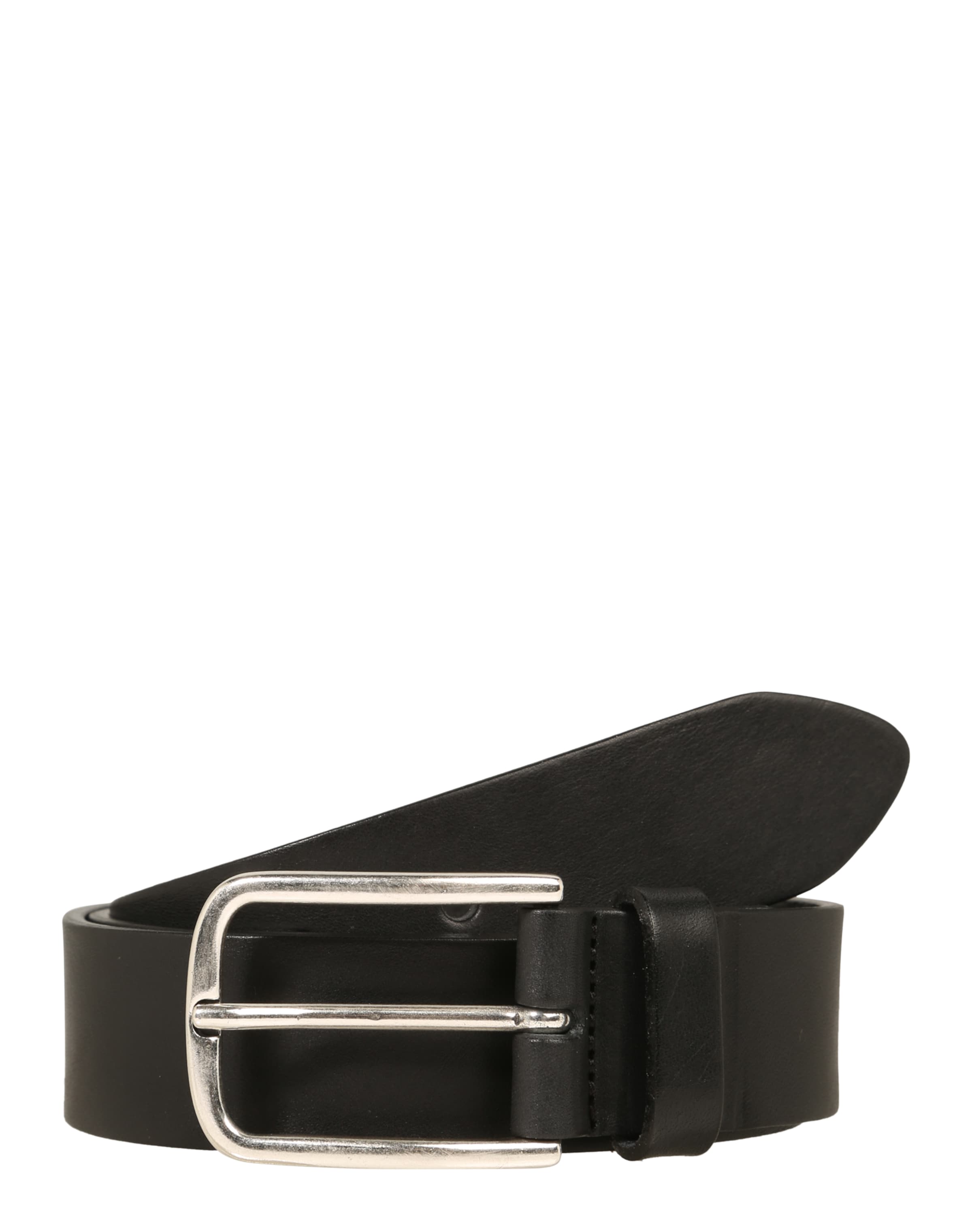 VANZETTI Belt in Black: front