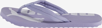 PUMA T-Bar Sandals 'Epic' in Purple