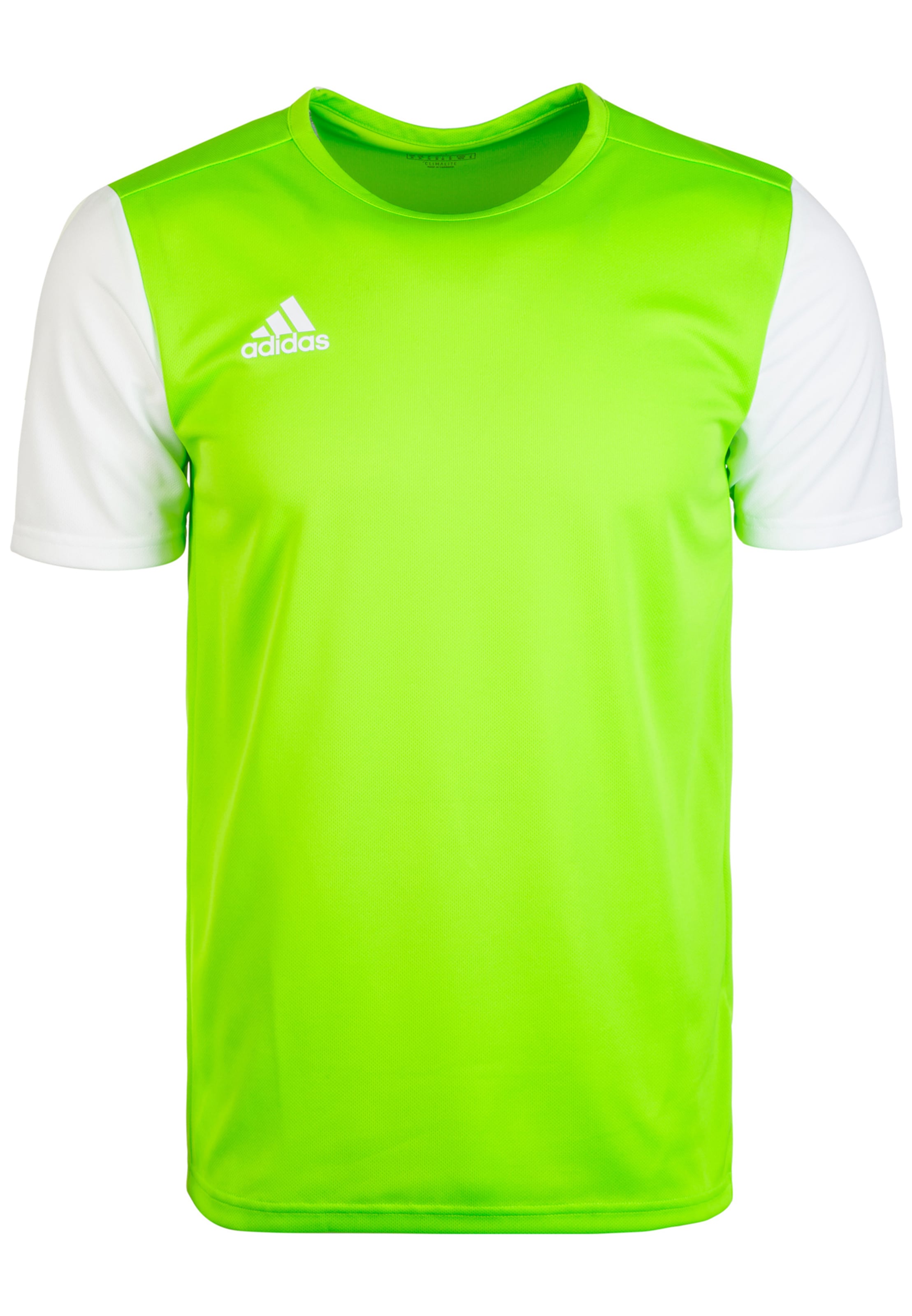 ADIDAS SPORTSWEAR Jersey 'Estro 19' in Green: front