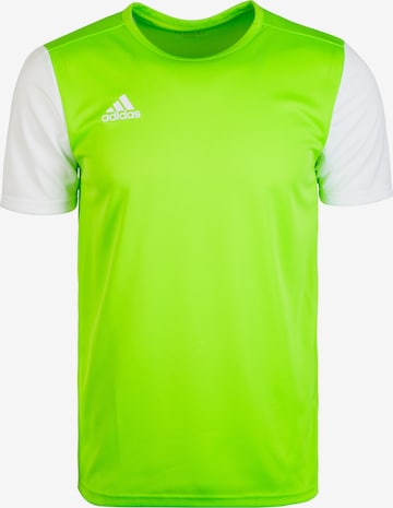 ADIDAS SPORTSWEAR Jersey 'Estro 19' in Green: front