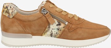 GABOR Sneaker in Braun