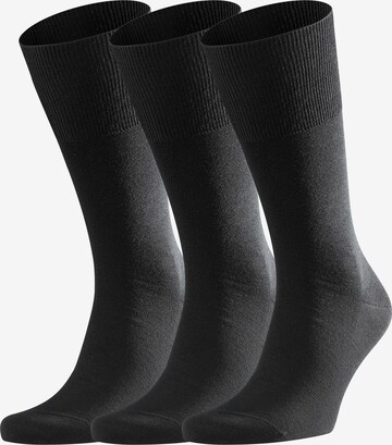 FALKE Socks 'Airport' in Black: front