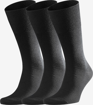 Chaussettes 'Airport' FALKE en noir : devant