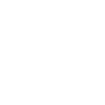 GIESSWEIN Logo