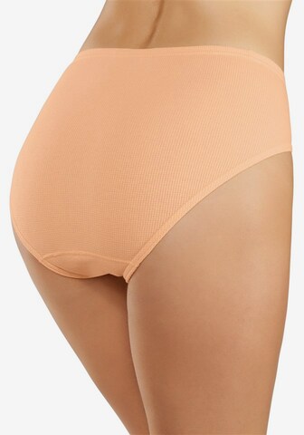 PETITE FLEUR Panty in Mixed colors