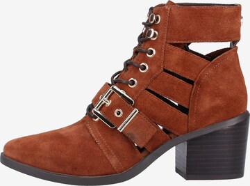 STEVE MADDEN Veterlaarsjes in Bruin