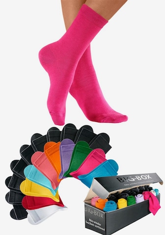 GO IN Socks in Mixed colors: front