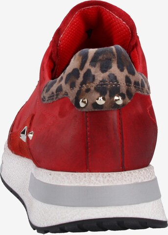 Paul Green Sneaker in Rot