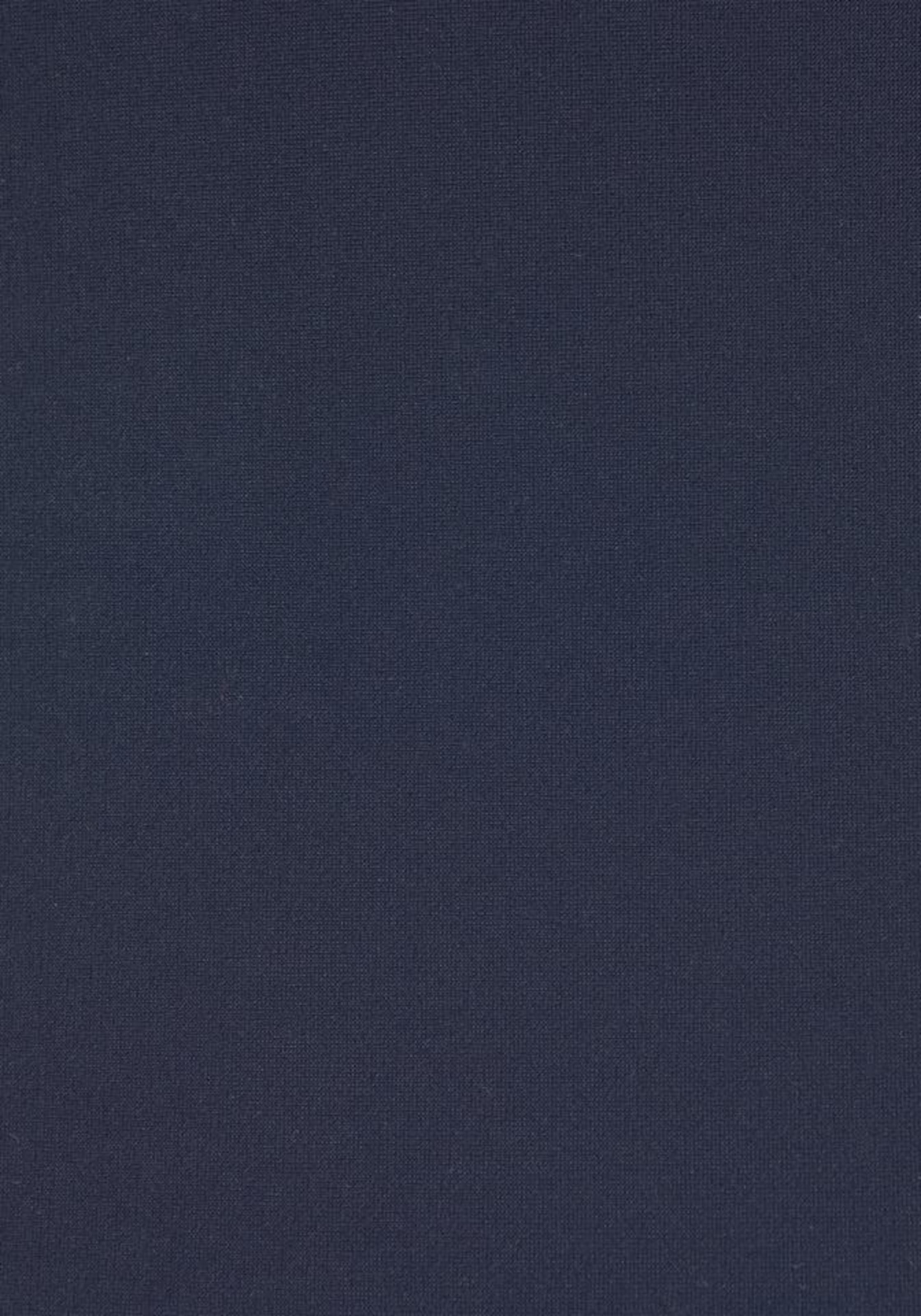 VENICE BEACH Triangel Badeanzug in Blau