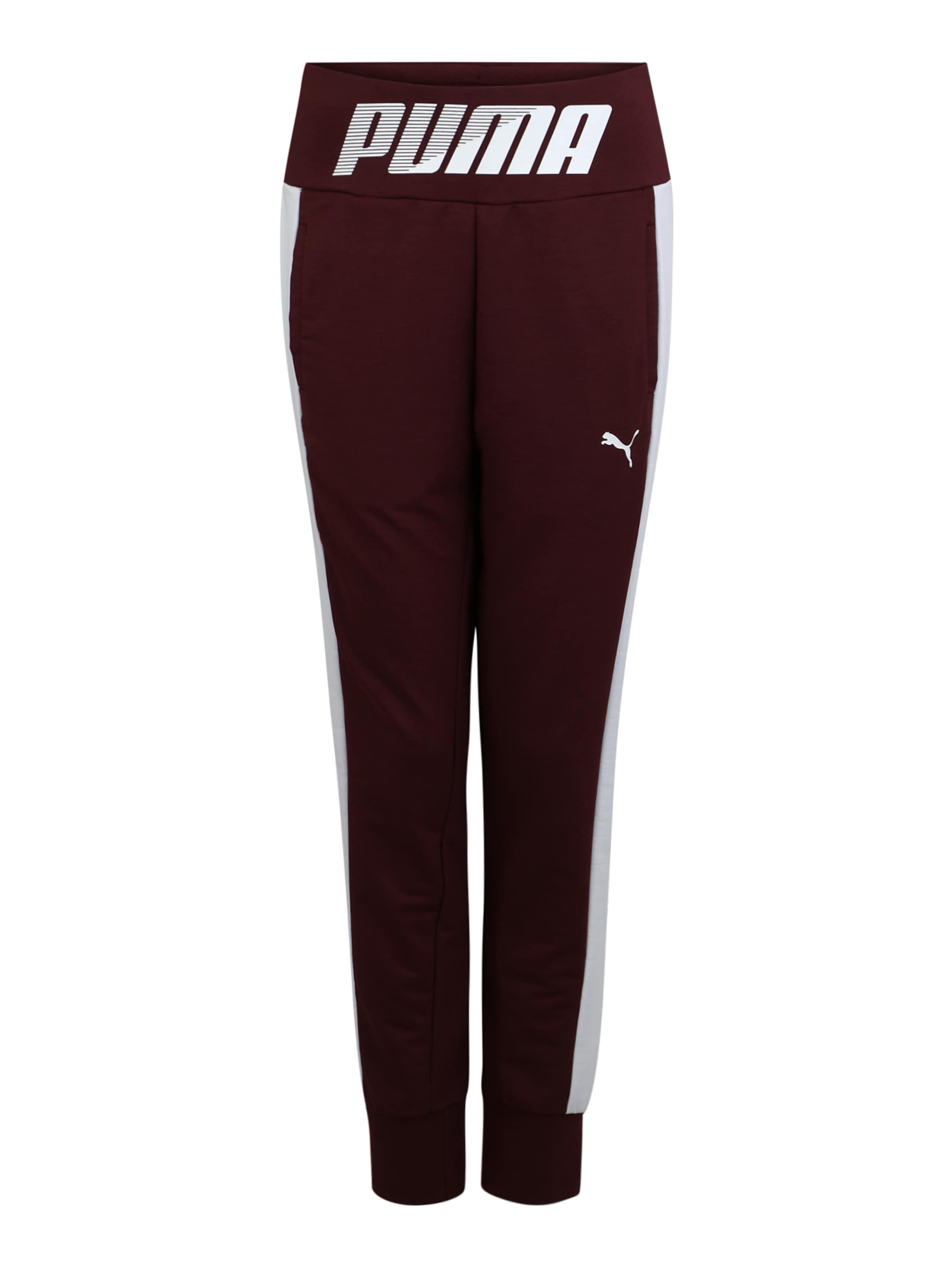 PUMA - Sport-Hose 'MODERN SPORT' in weinrot
