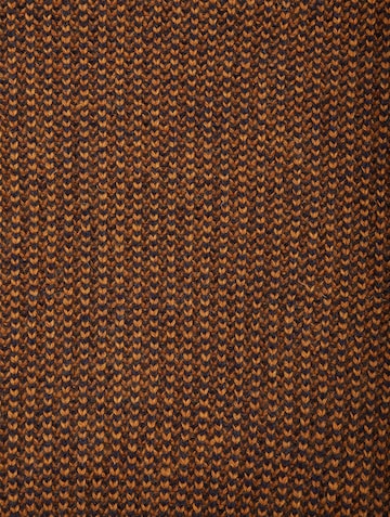 Cleptomanicx Sweater in Brown