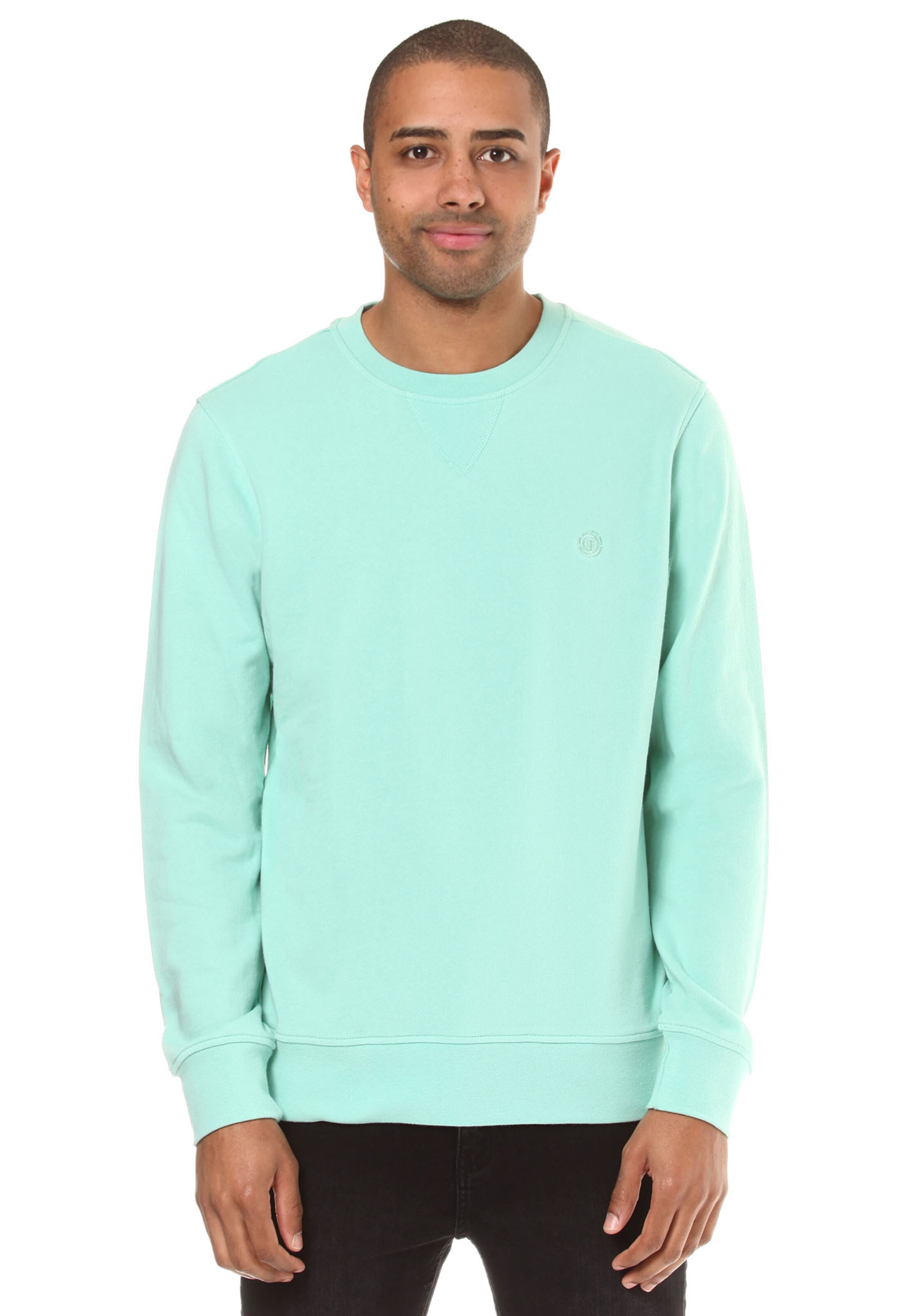 ELEMENT - Sportsweatshirt 'Cornell Pastel' in de kleur Mintgroen