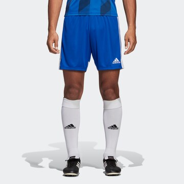 ADIDAS PERFORMANCE Regular Shorts 'Tastigo 19' in Blau: Vorderseite
